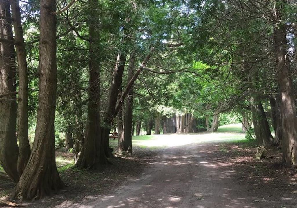 Photo of Others in Ashfield-Colborne-Wawanosh