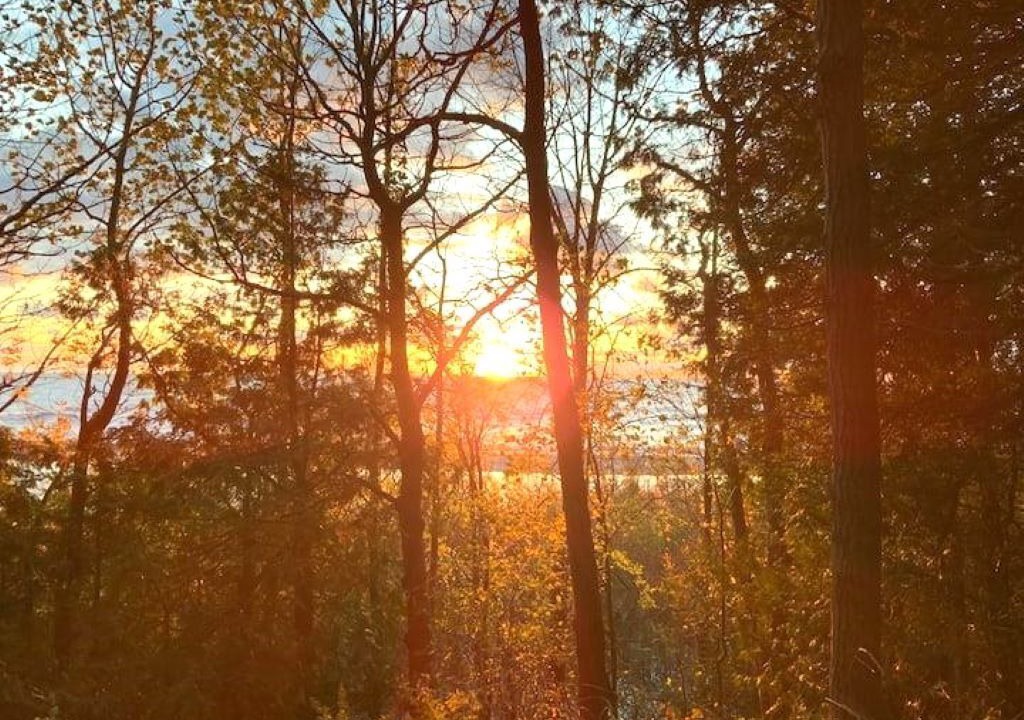 Photo of Others in Ashfield-Colborne-Wawanosh