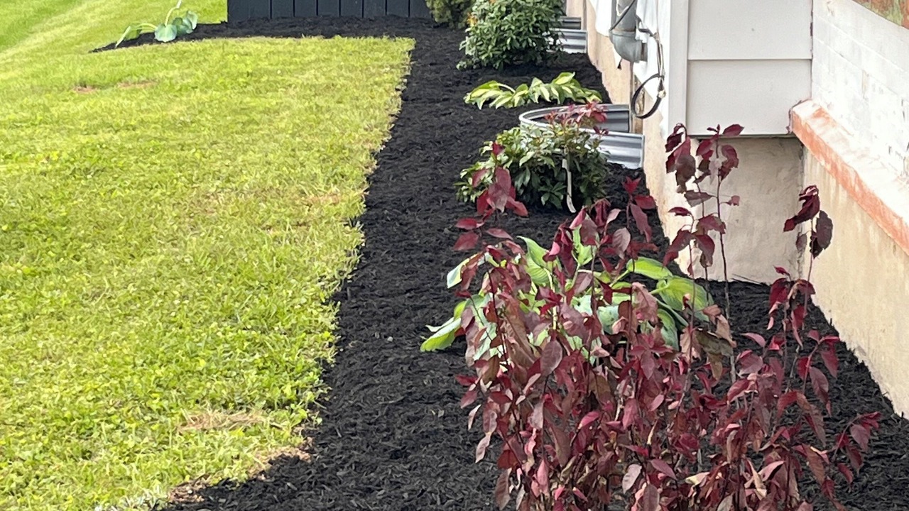 Photo of Outdoor in Belleville