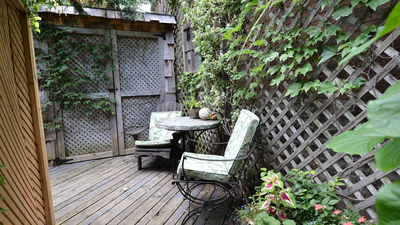 Photo of Outdoor in East York