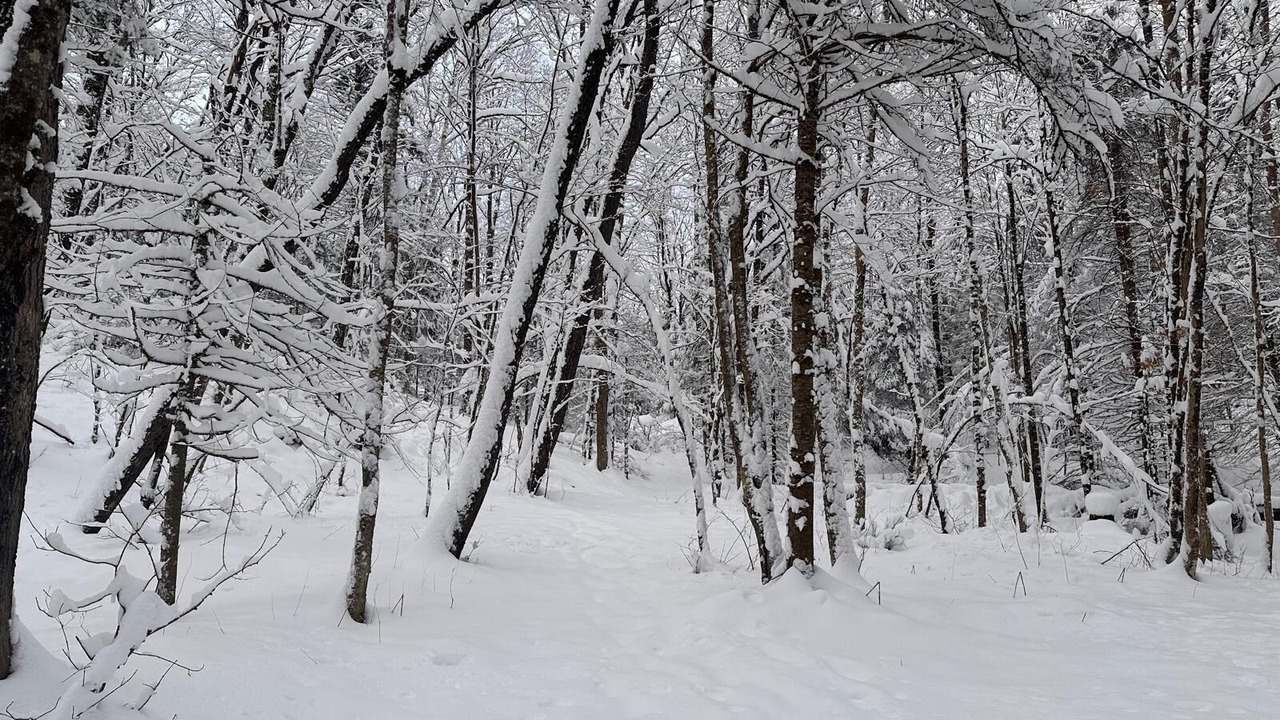 Photo of Others in Utterson
