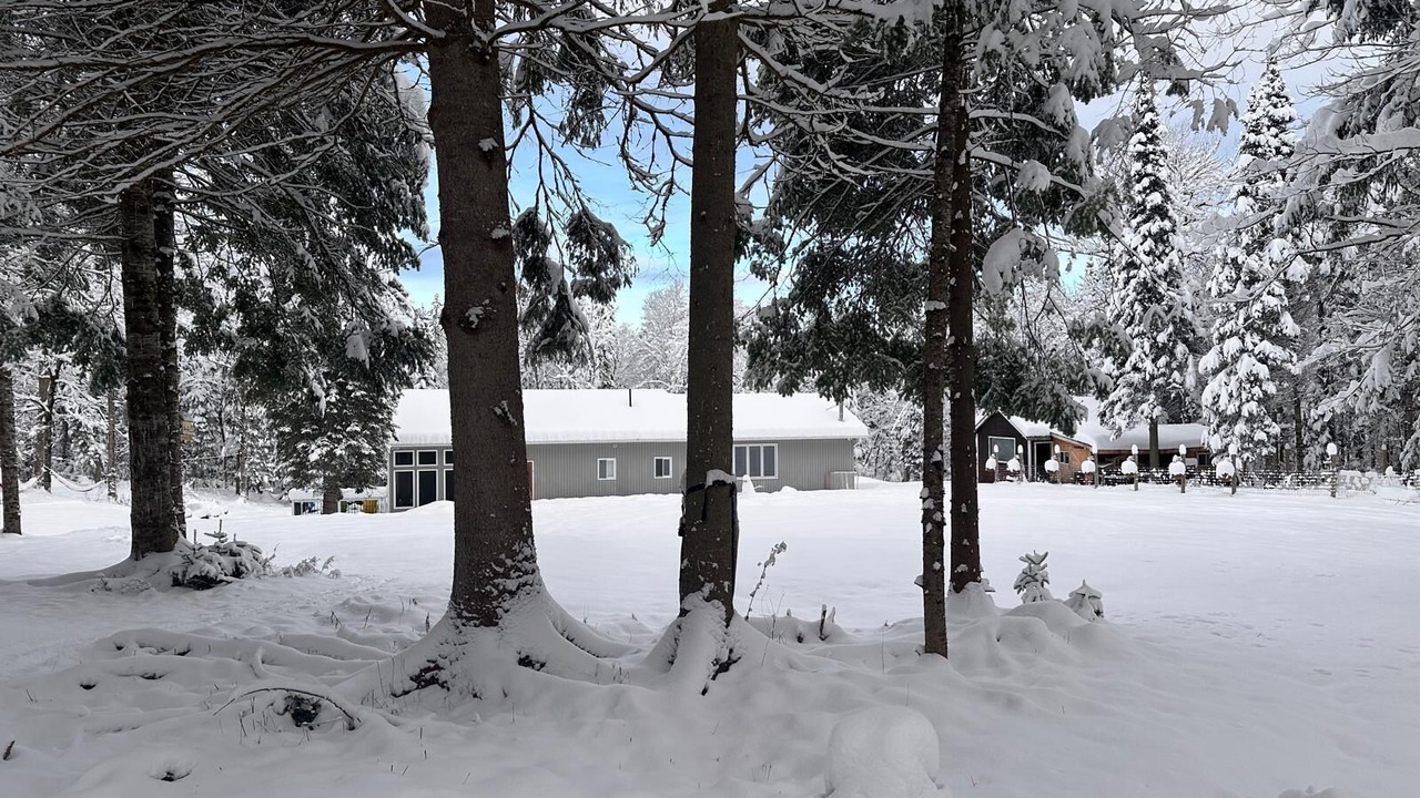 Photo of Outdoor in Utterson