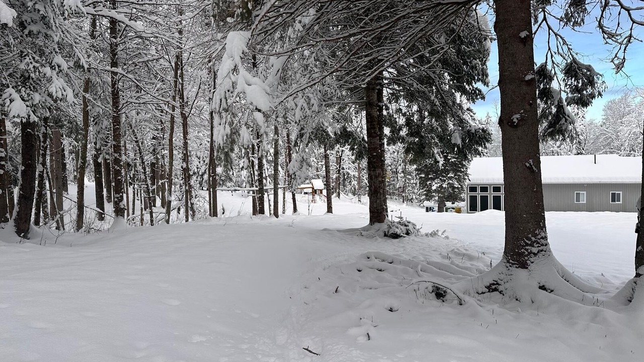 Photo of Outdoor in Utterson