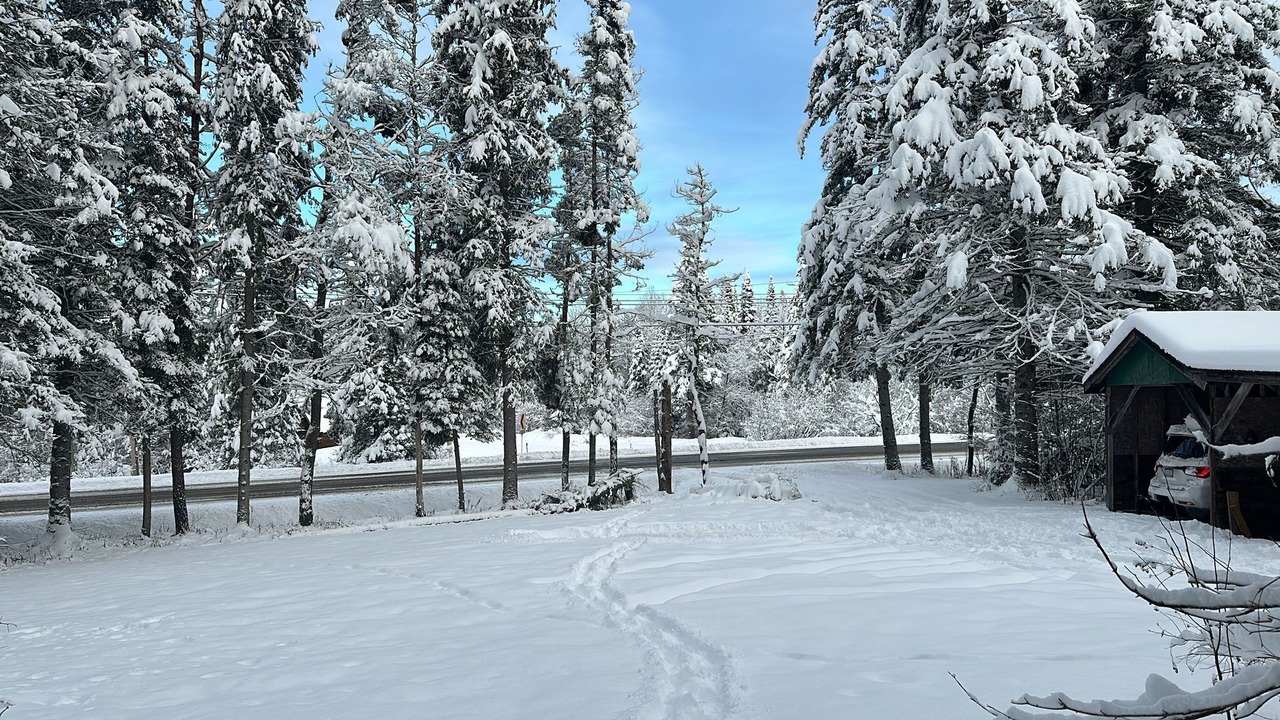 Photo of Outdoor in Utterson