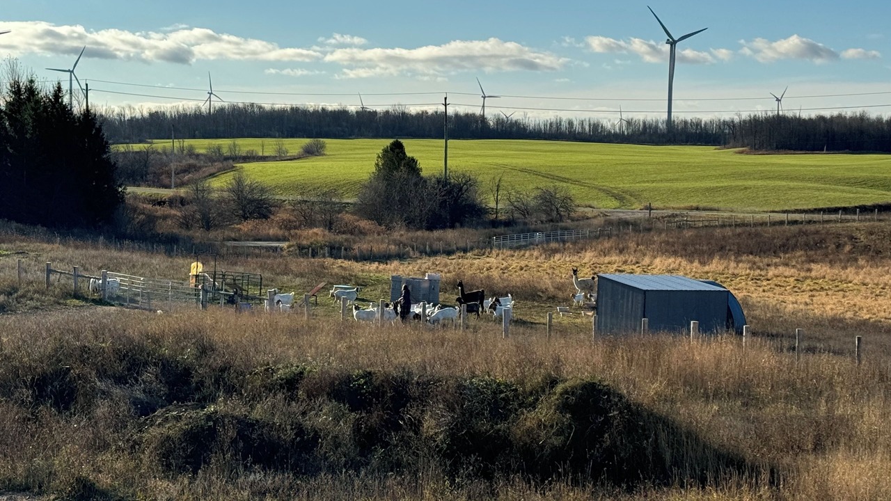 Photo of Others in Kincardine