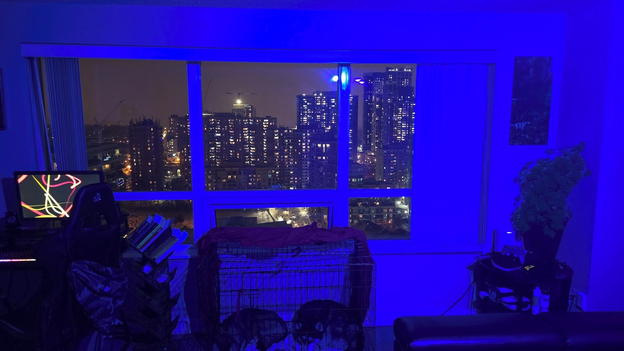Photo of Others in Etobicoke