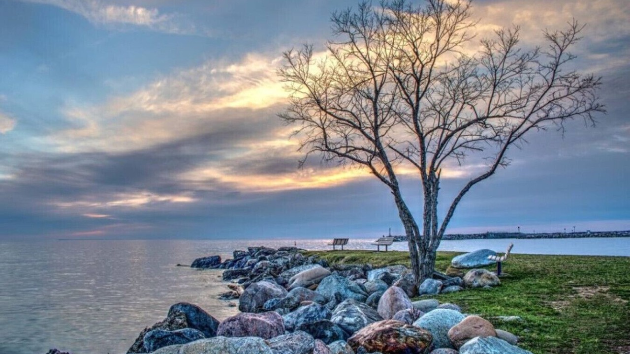 Photo of Others in Meaford