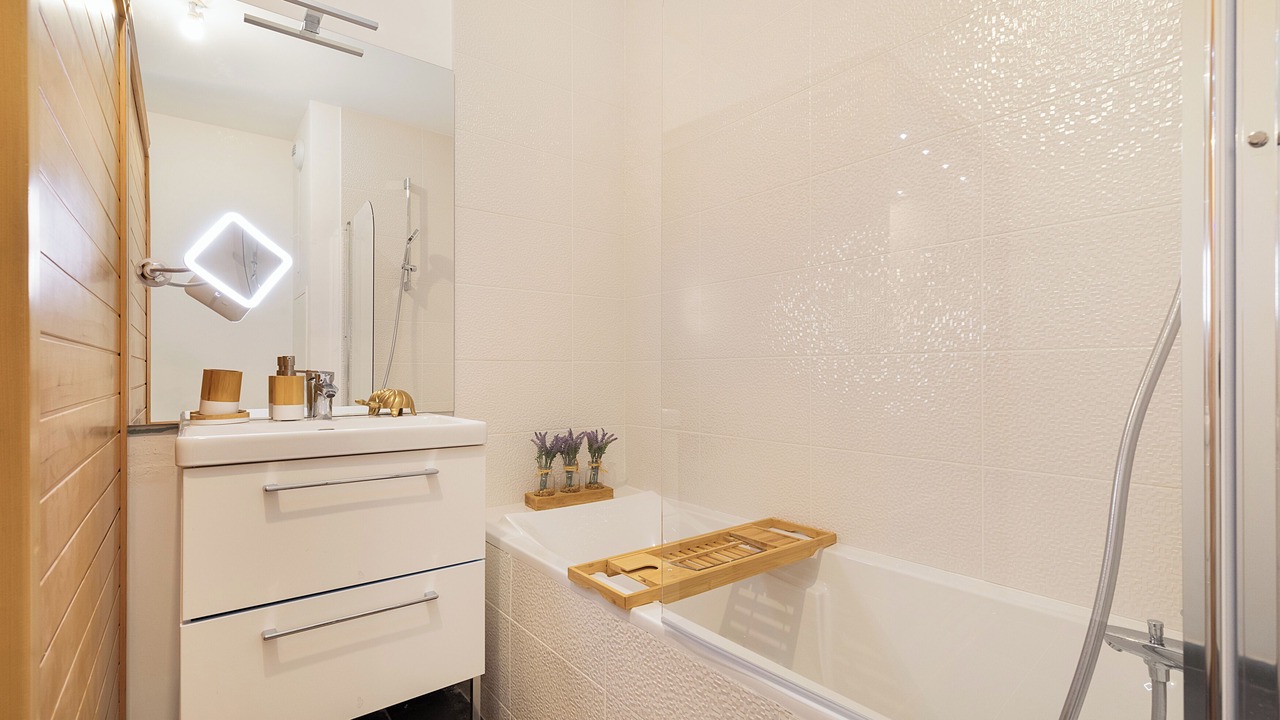 Photo of Bathroom in Bagneux