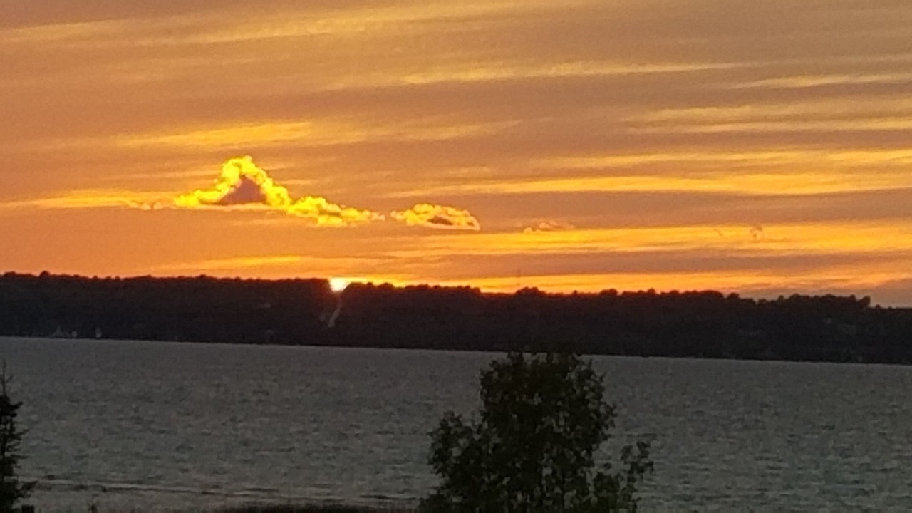 Photo of Others in Meaford