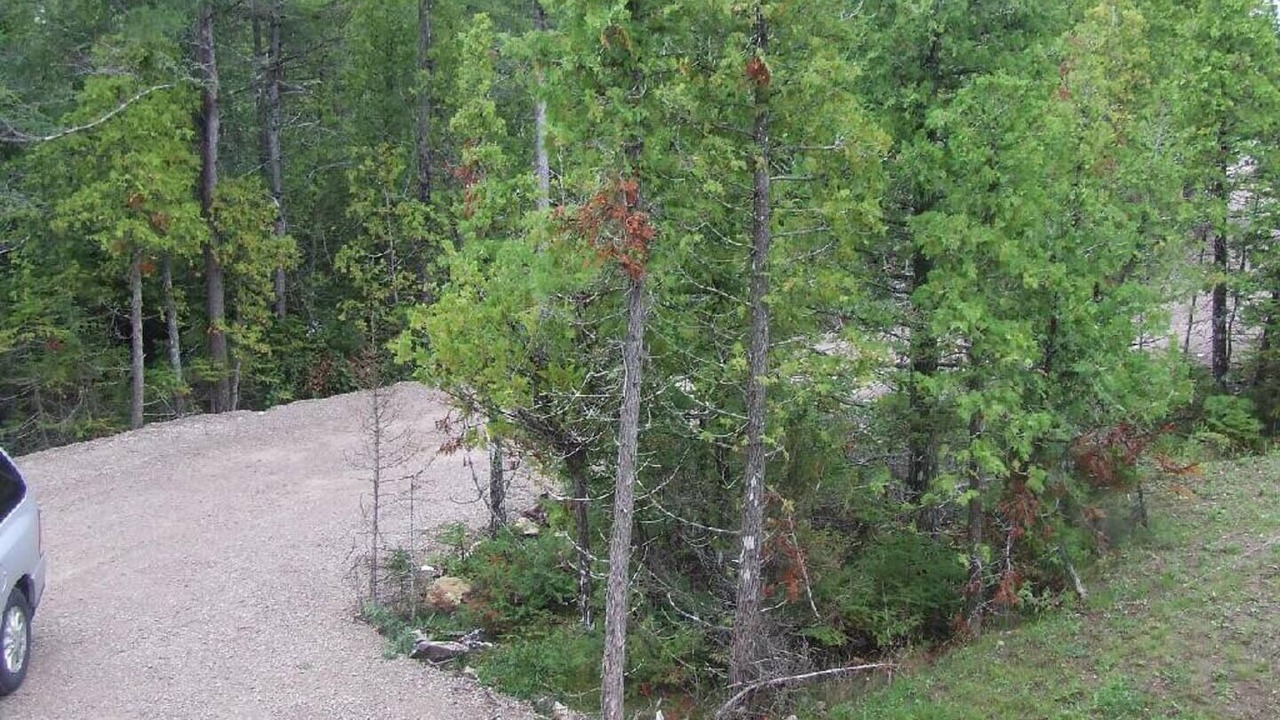 Photo of Others in Miller Lake