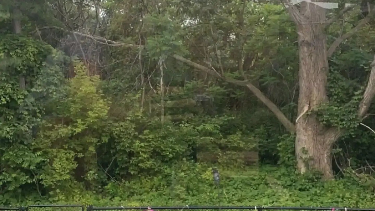 Photo of Outdoor in Meadowvale Village