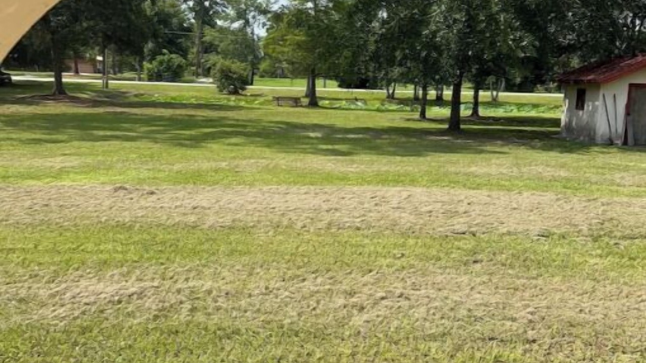 Photo of Outdoor in Campbell