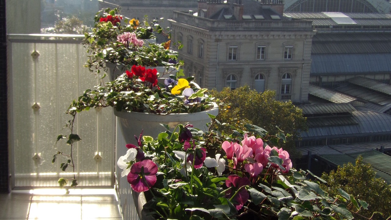 Photo of Others in 10th Arrondissement