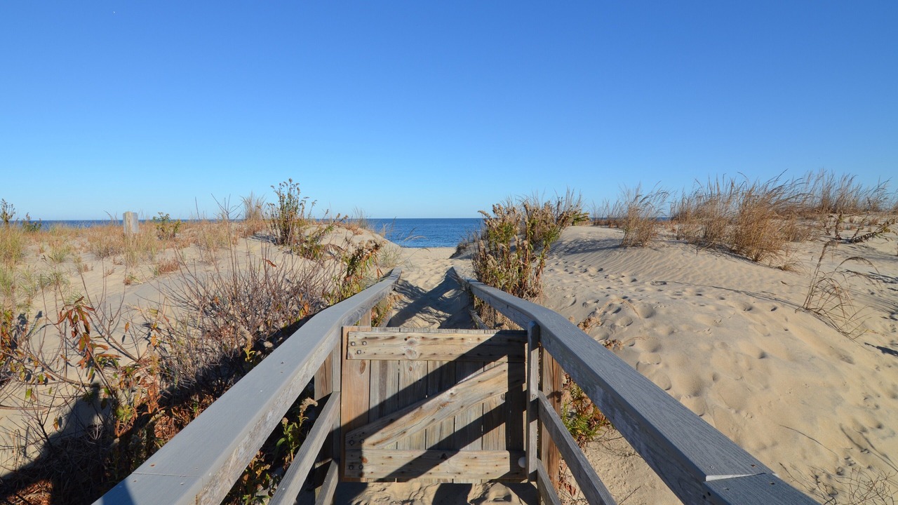Photo of Others in Rehoboth by the Sea