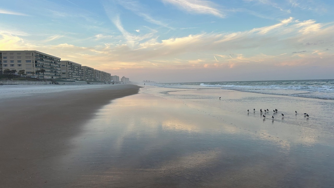 Photo of Others in Ponce Inlet