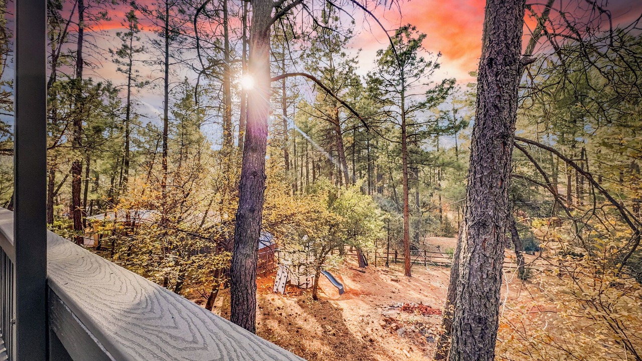 Photo of Outdoor in Strawberry