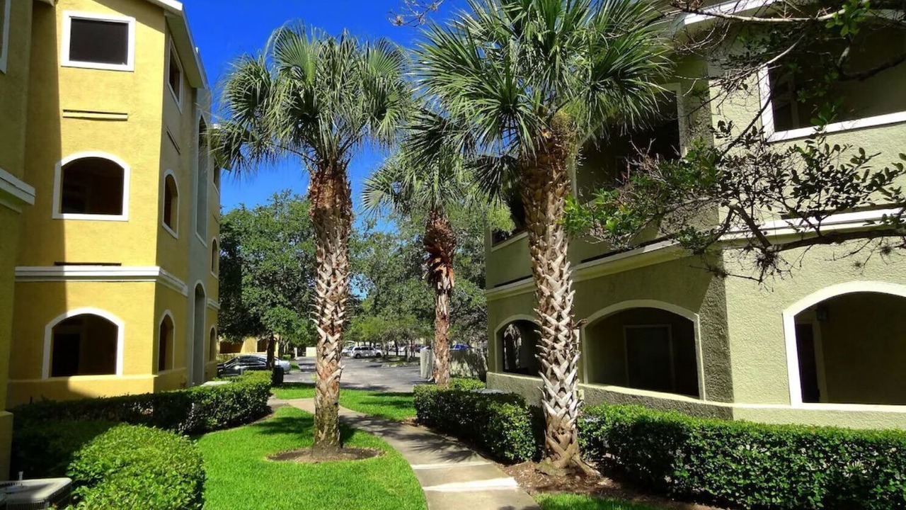Photo of Outdoor in Clearwater