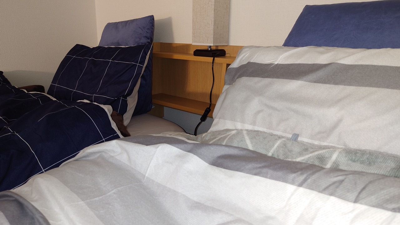 Photo of Bedroom in Chofu