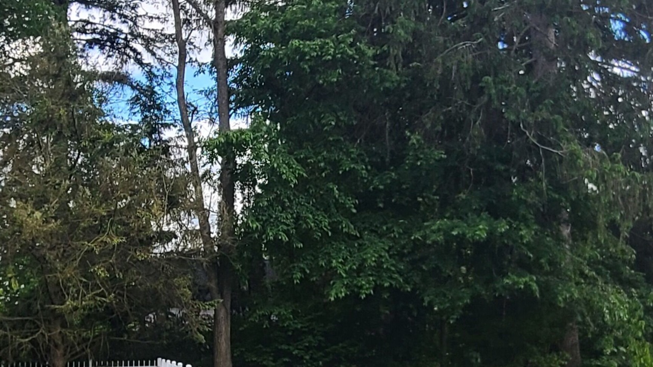 Photo of Outdoor in Norwich