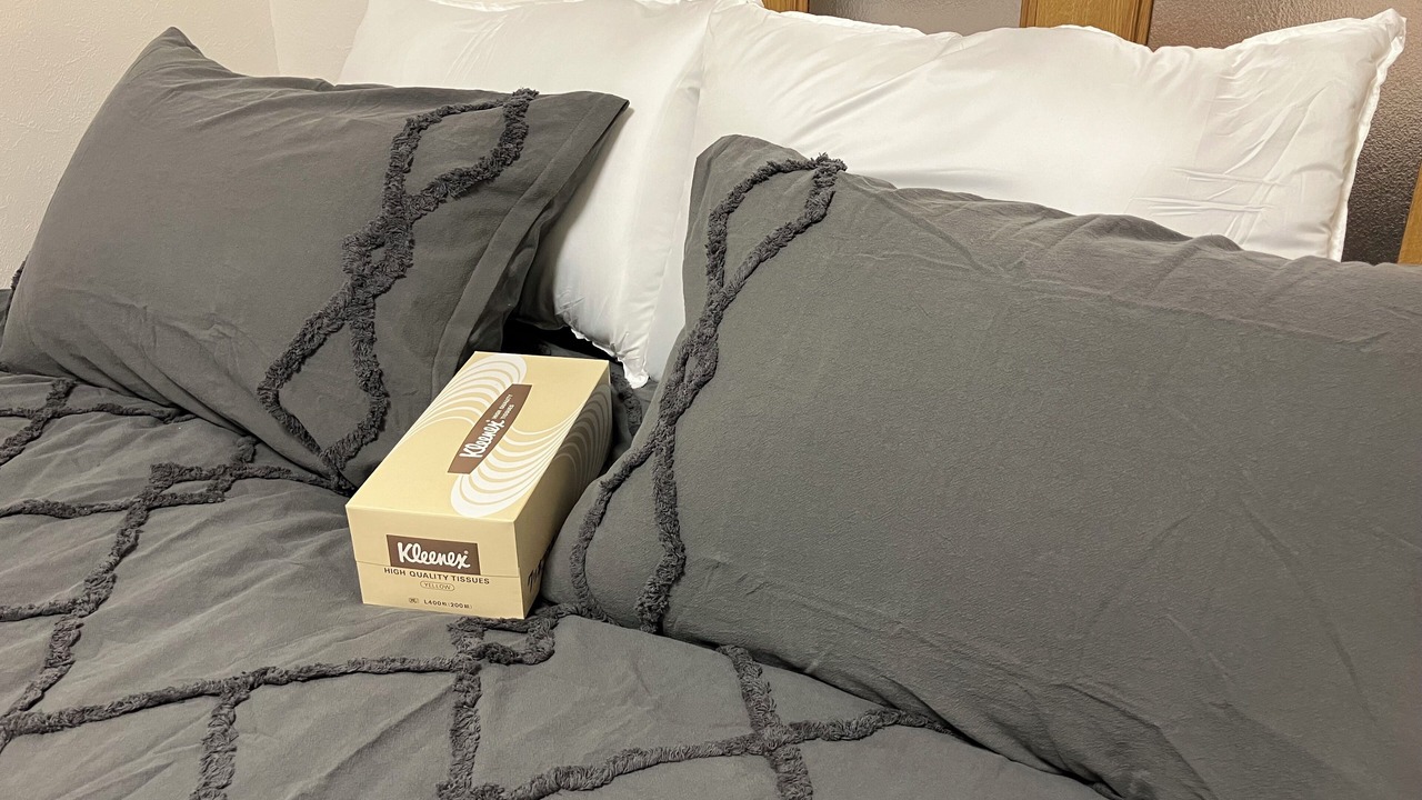 Photo of Bedroom in Sumida