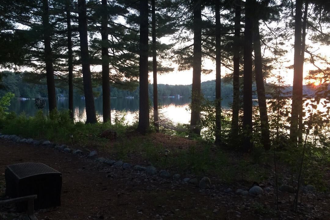 Photo of Others in Baysville
