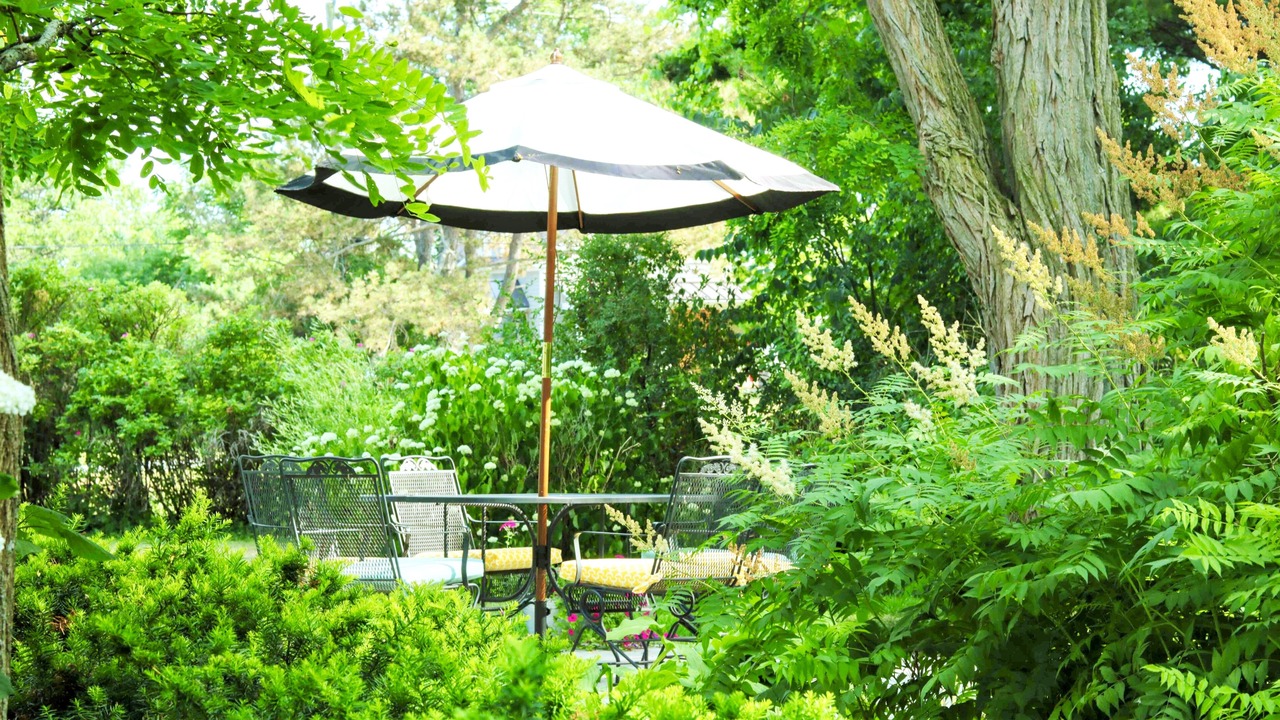 Photo of Outdoor in Kingston