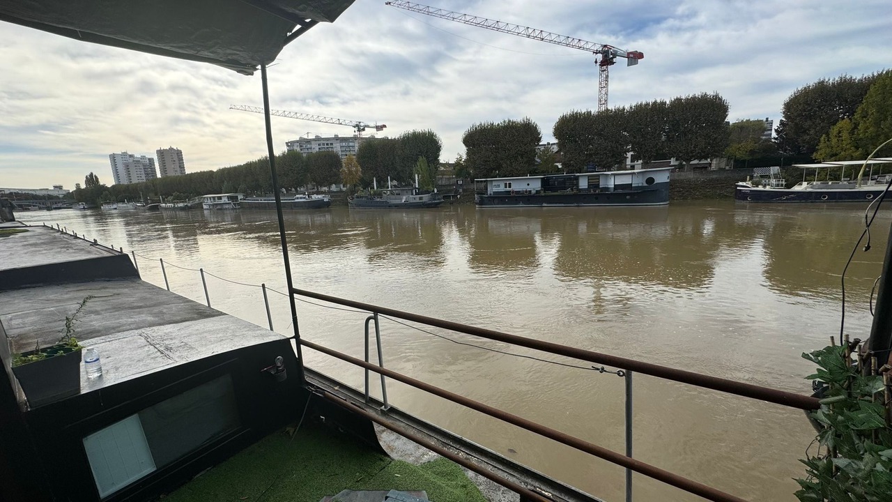 Photo of Others in L'Ile-Saint-Denis