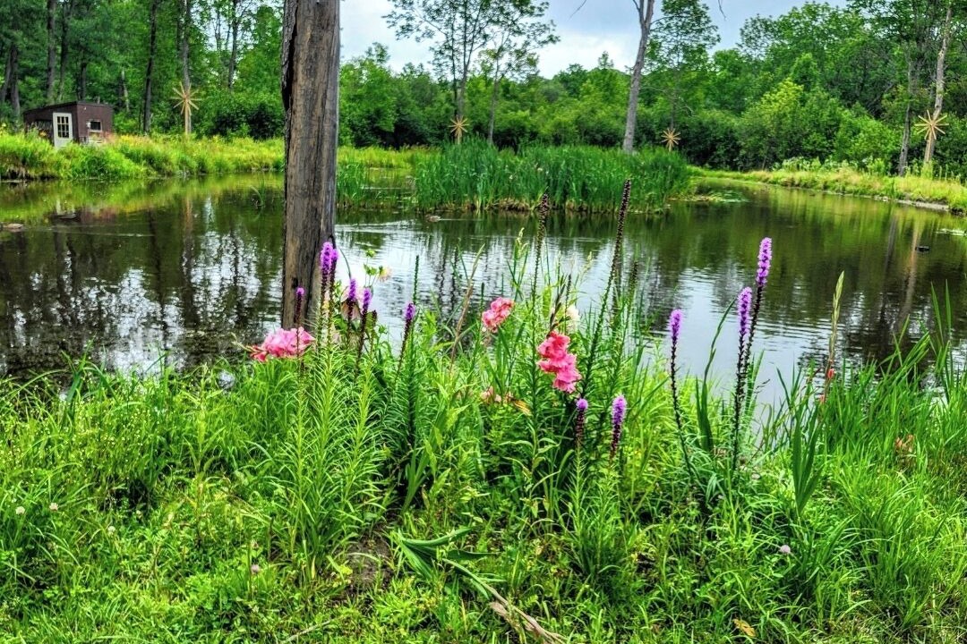 Photo of Outdoor in Chisholm