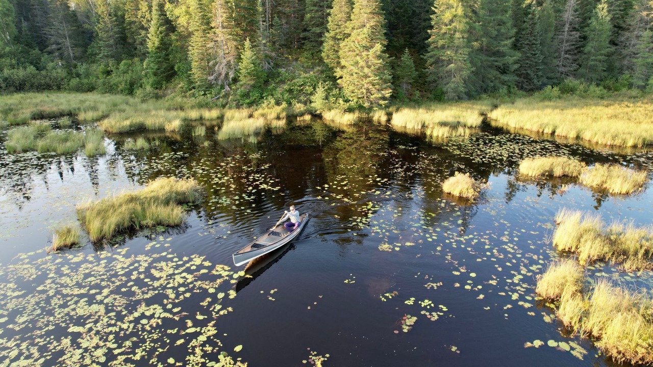 Photo of Others in Unorganized North East Parry Sound