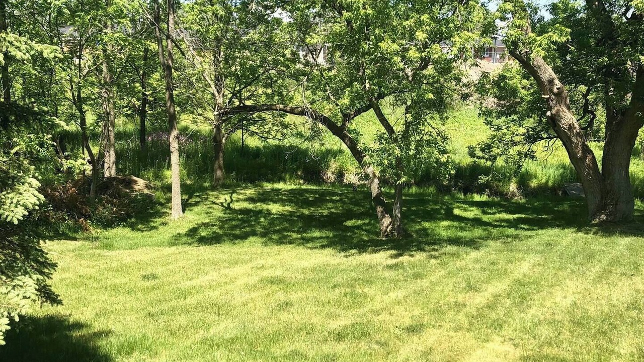Photo of Outdoor in Greater Napanee