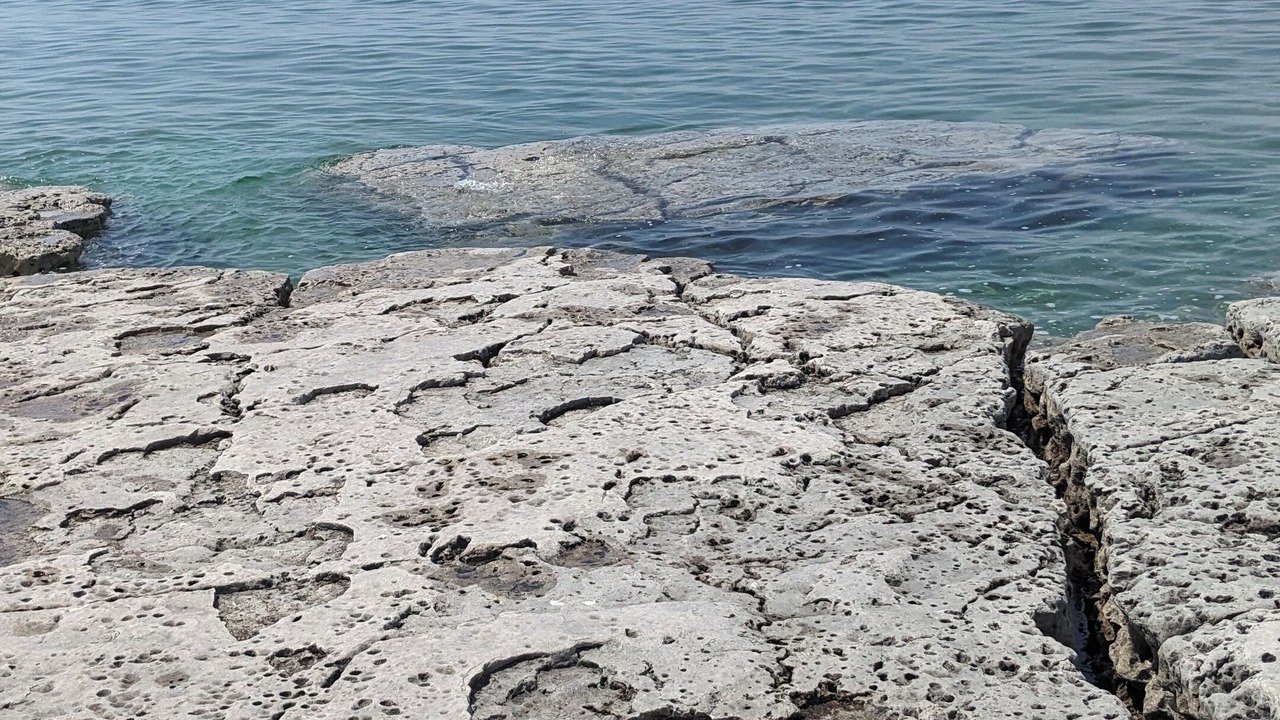 Photo of Others in Northern Bruce Peninsula