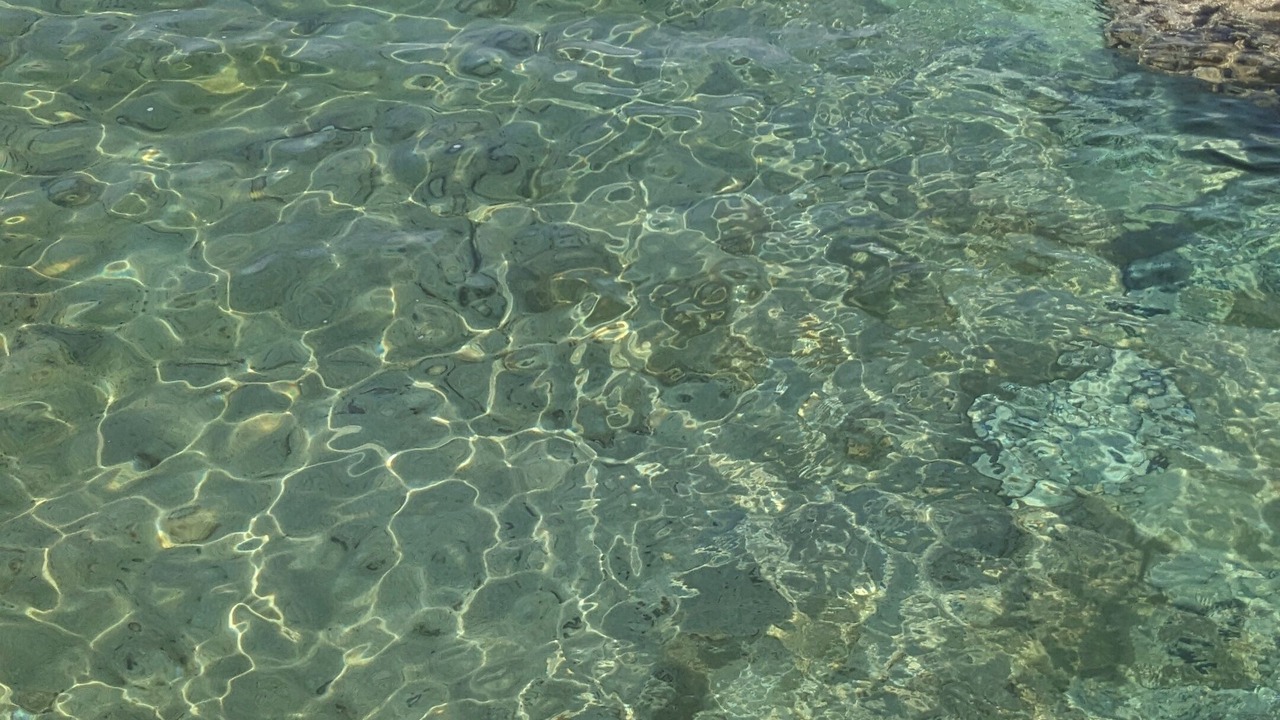 Photo of Others in Northern Bruce Peninsula