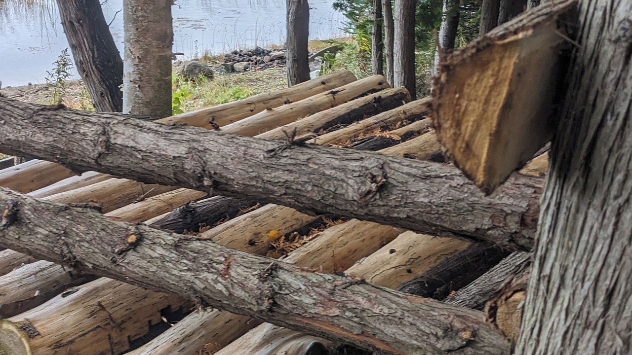 Photo of Others in Northern Bruce Peninsula