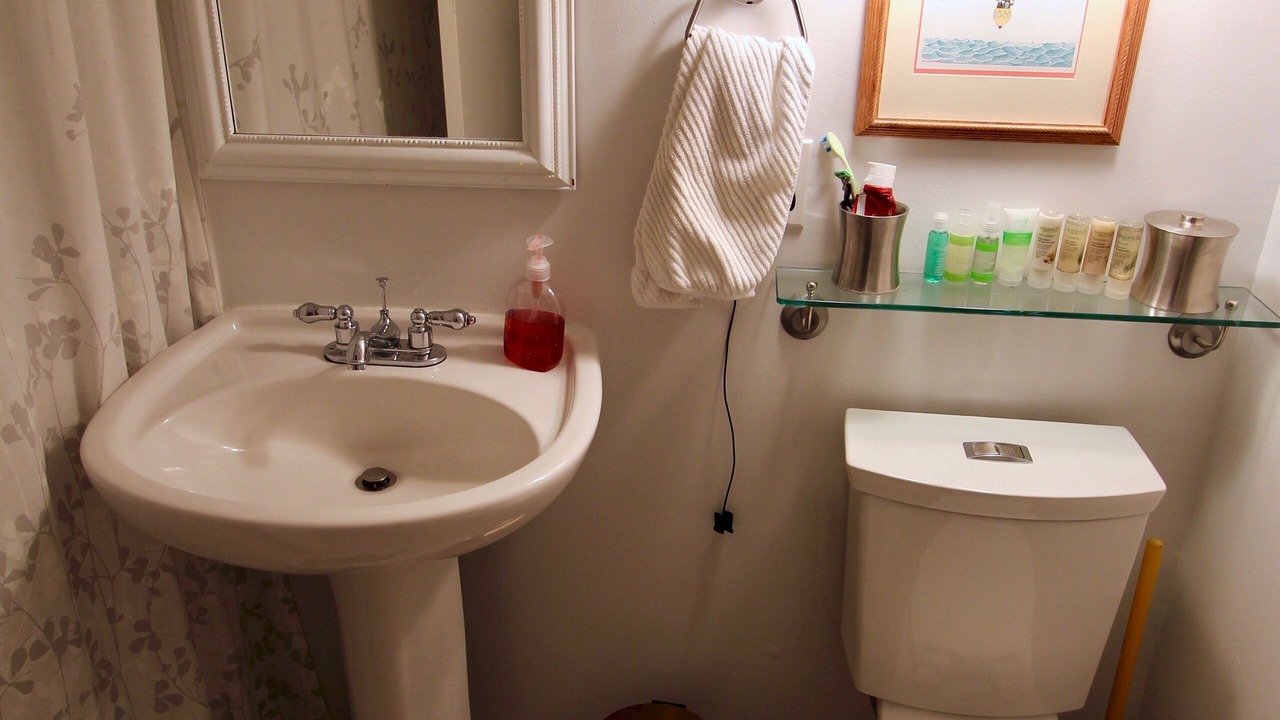 Photo of Bathroom in Leslieville