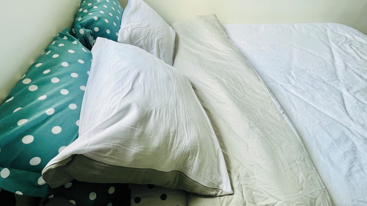 Photo of Bedroom in Aulnay-sous-Bois