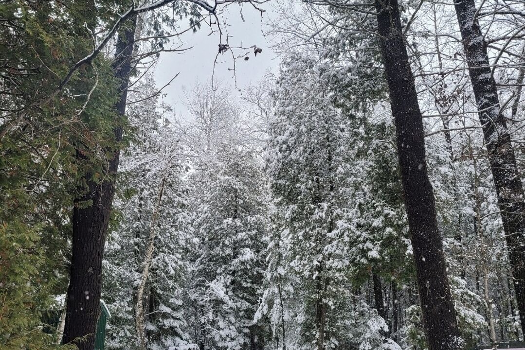 Photo of Outdoor in Faraday