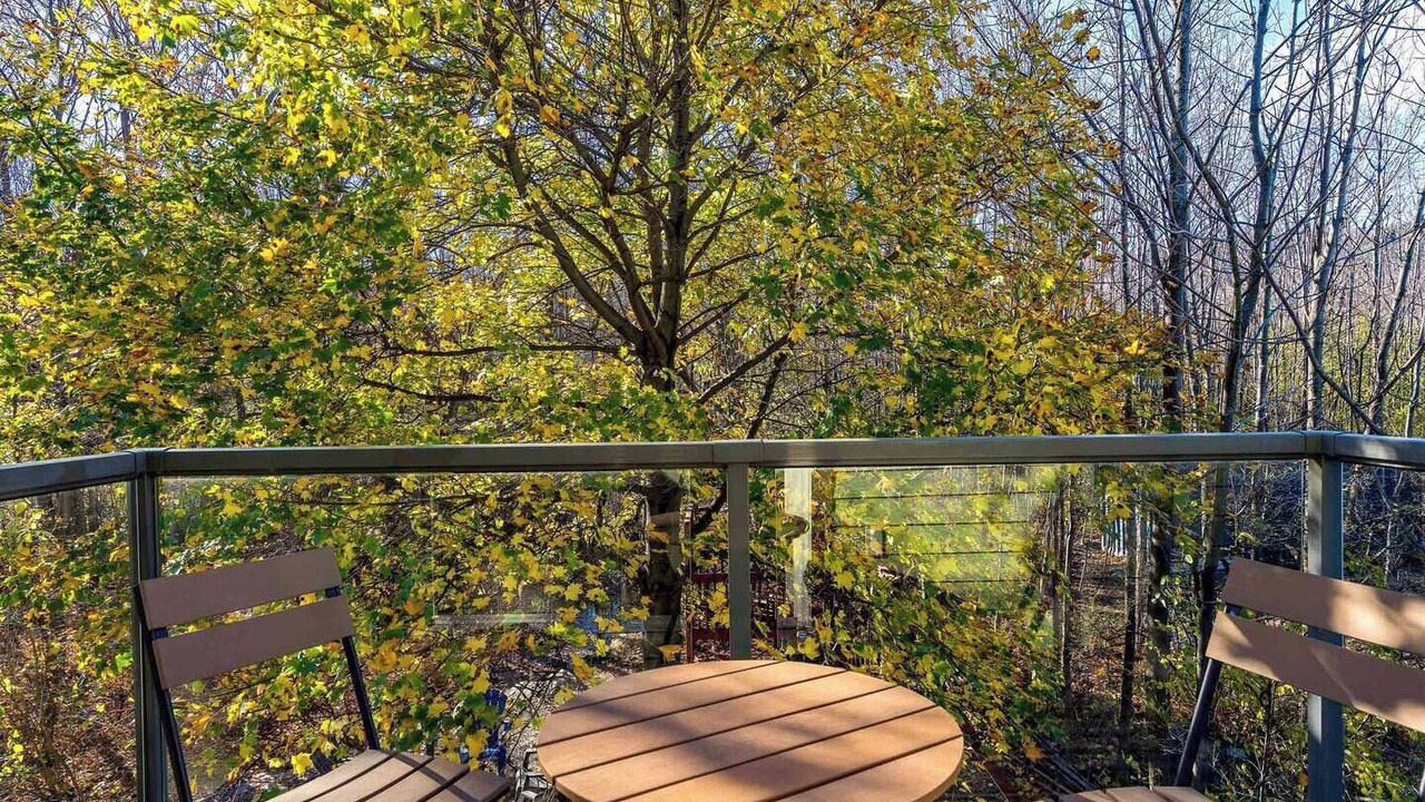 Photo of Outdoor in Craigleith