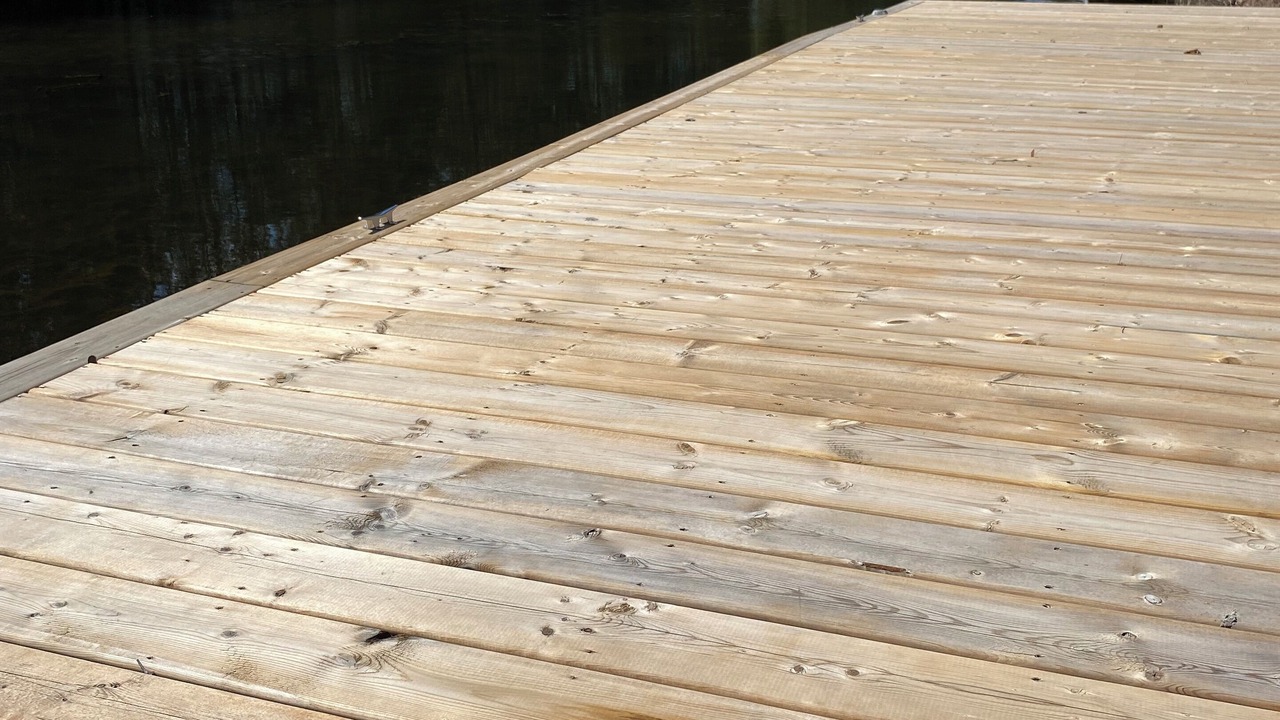 Photo of Others in Fenelon Falls