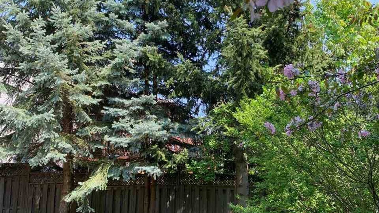 Photo of Outdoor in Aurora