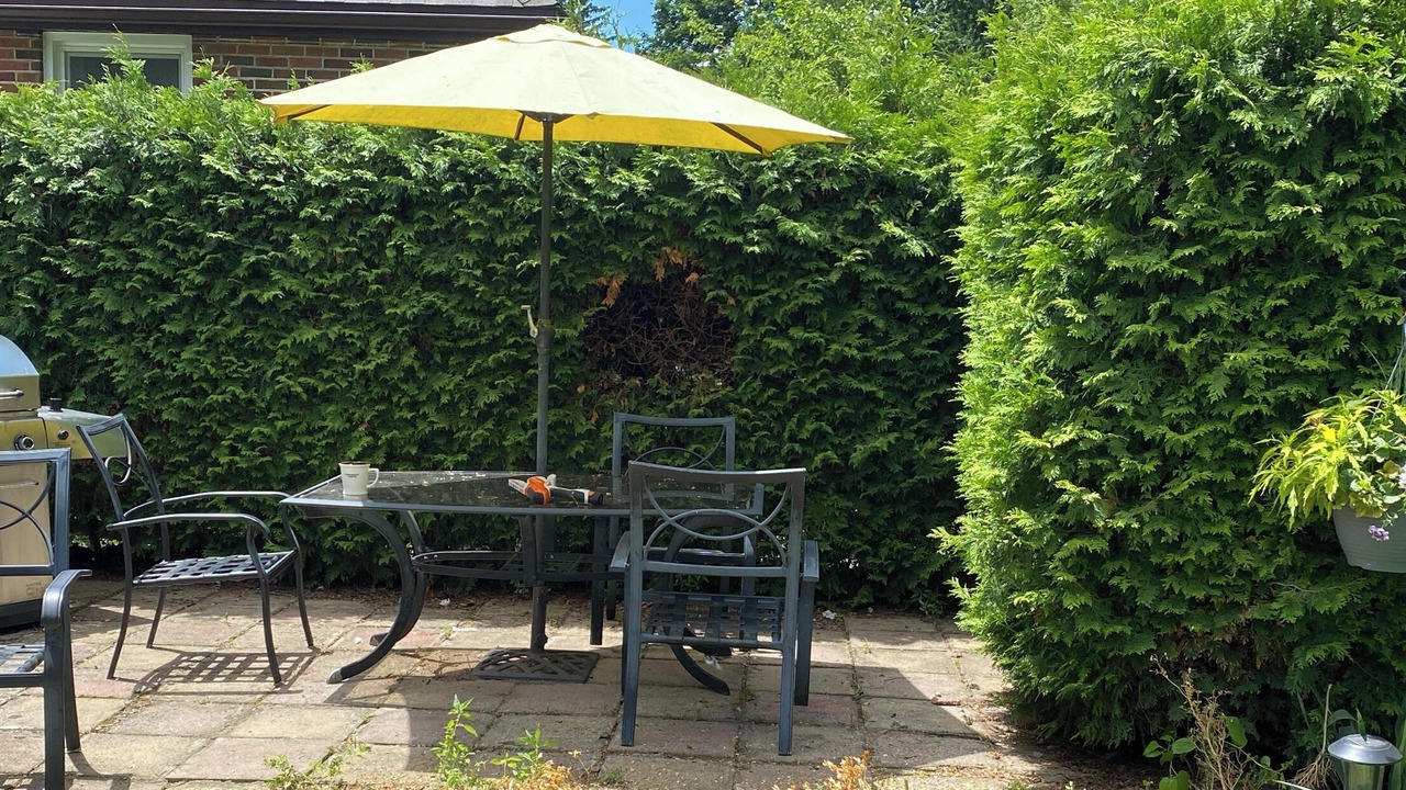 Photo of Outdoor in North London