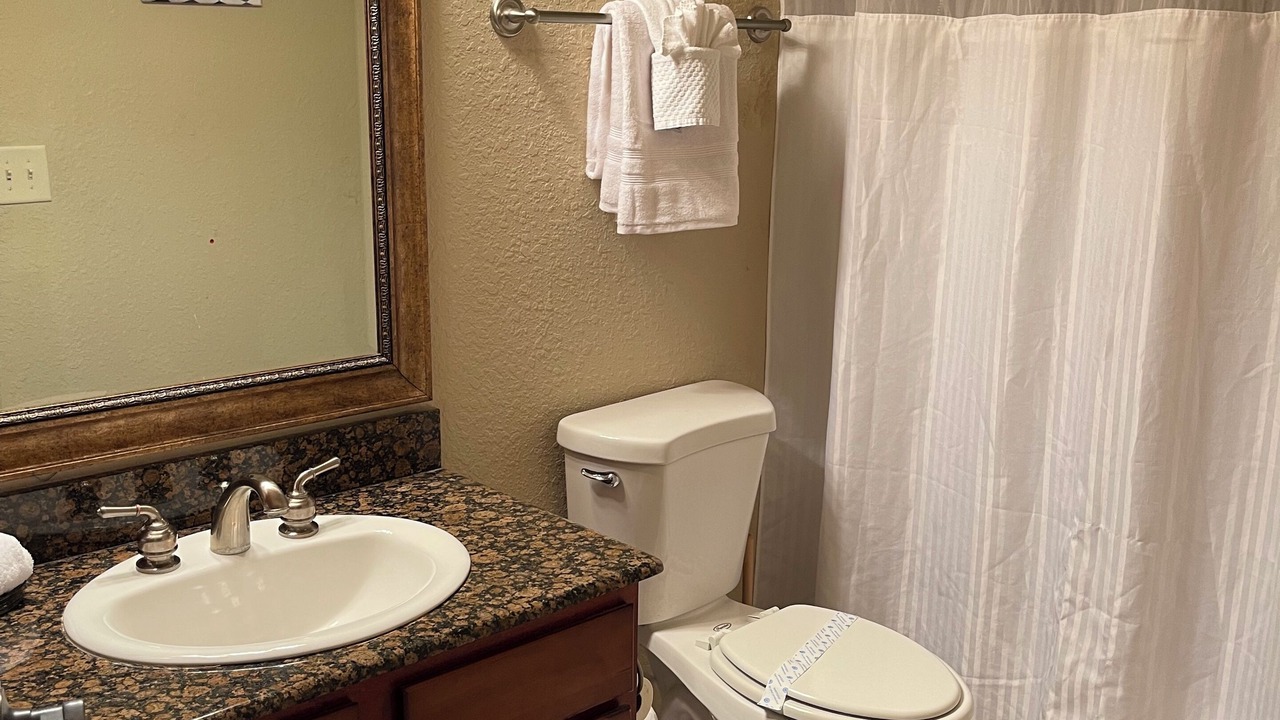 Photo of Bathroom in Wellington