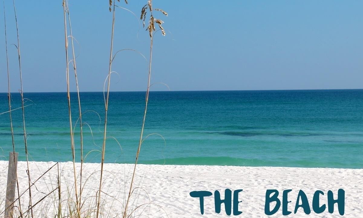 Photo of Others in Fort Walton Beach