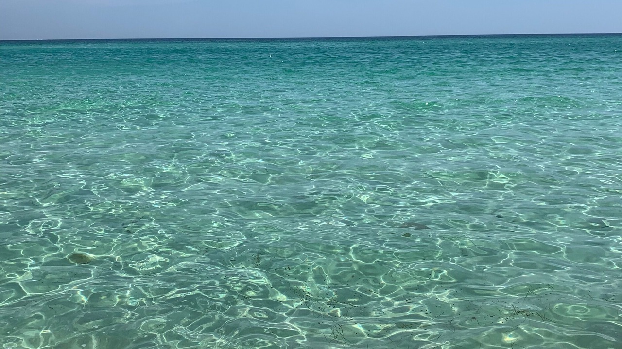 Photo of Others in Fort Walton Beach