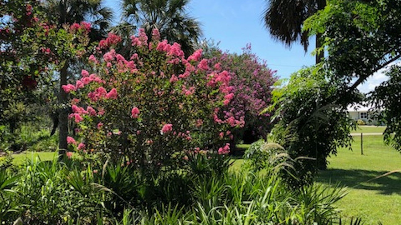 Photo of Outdoor in Fort Ogden