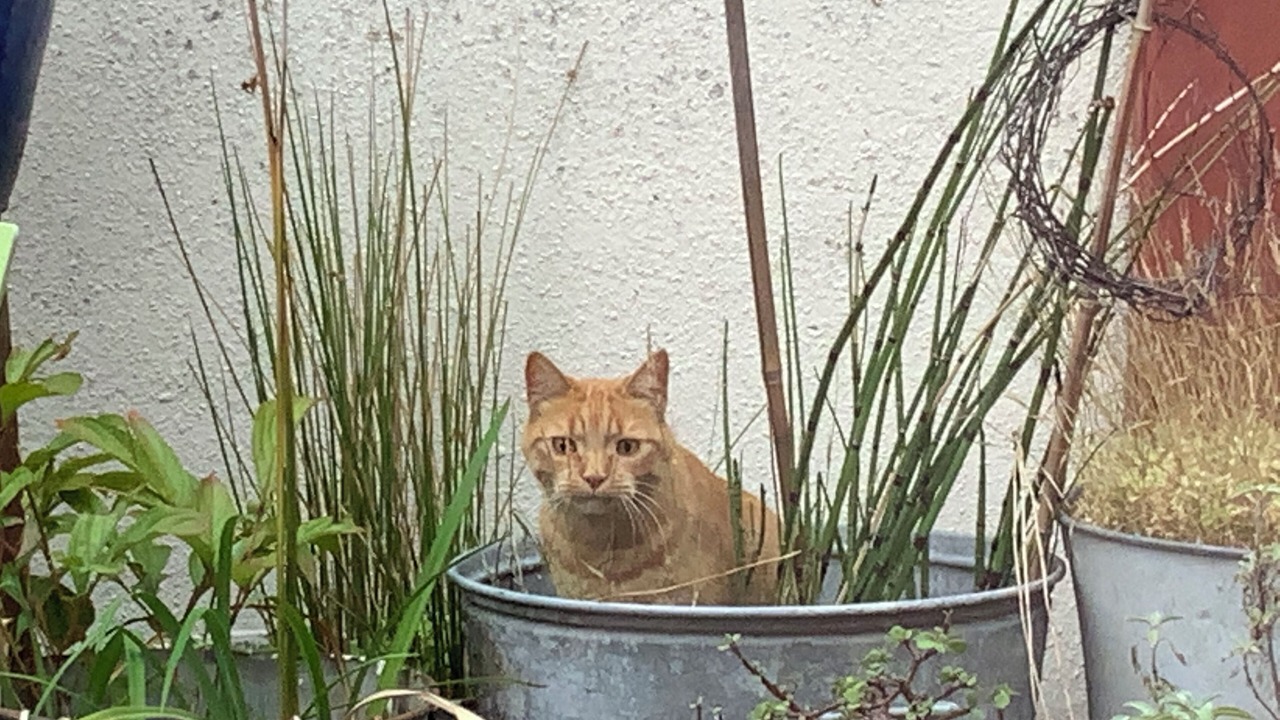 Photo of Outdoor in Montreuil