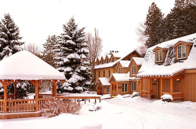 Photo of Others in Ashfield-Colborne-Wawanosh