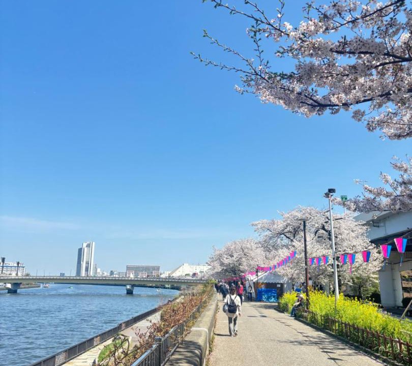 Photo of Others in Sumida