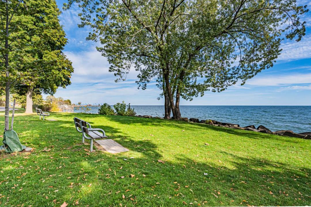 Photo of Others in Port Credit