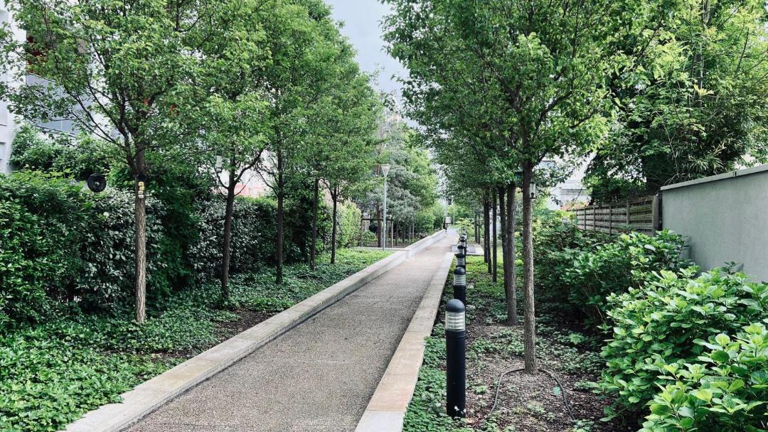 Photo of Outdoor in Malakoff