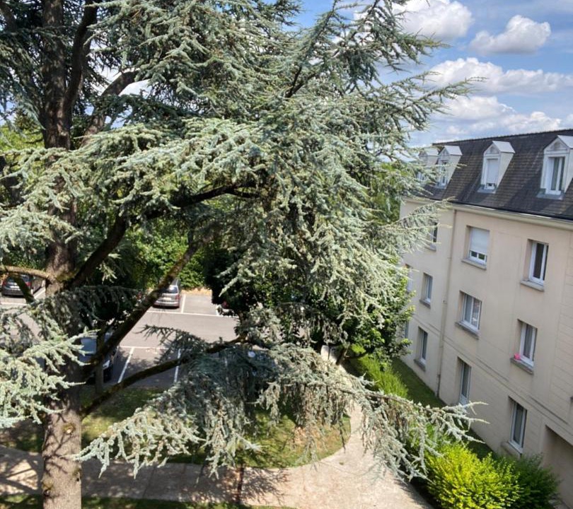 Photo of Others in Thorigny-sur-Marne